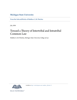 Toward a Theory of Intertribal and Intratribal Common Law