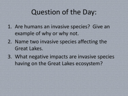 Bioinvasion