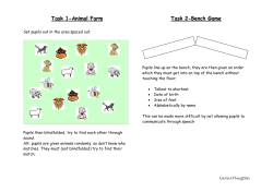 Team building- Animal Farm