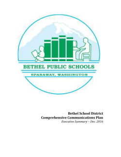 Exec. Summary - Bethel School District