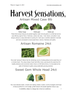 Artisan Mixed Case 8lb Artisan Romaine 24ct Sweet Gem Whole