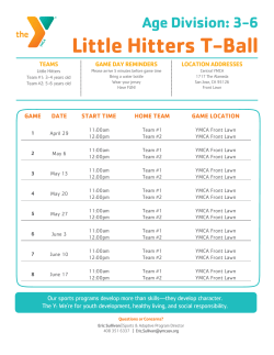 Little Hitters T-Ball