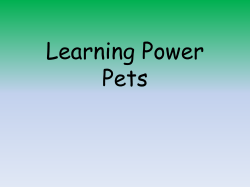 Learning Power Pets