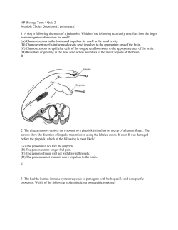 AP Biology Quiz 2 T4