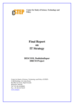Final Report on IT Strategy - Center for Study of Science