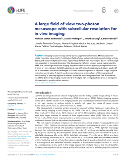 A large field of view two-photon mesoscope with subcellular