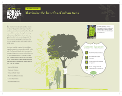Maximize the benefits of urban trees.