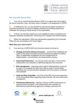 Non- Executive Director Role