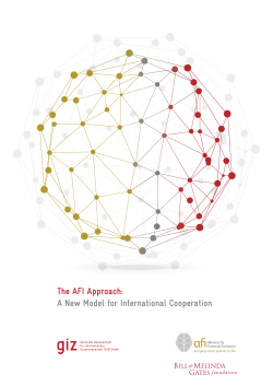 The AFI Approach: A New Model for International Cooperation