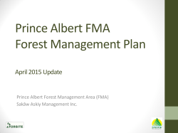 Williams Lake TSA Type 4 Silviculture Strategy