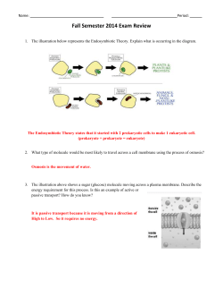 Fall Semester 2014 Exam Review