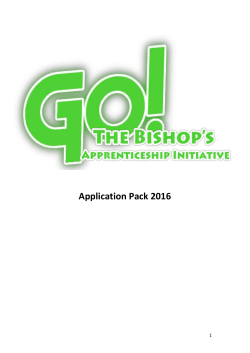 Application Pack 2016 - Synergy Youth and Children