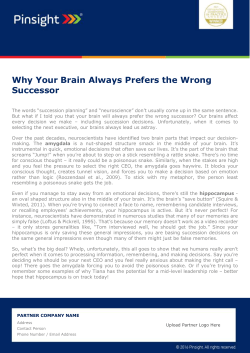 Why Your Brain Always Prefers the Wrong Successor