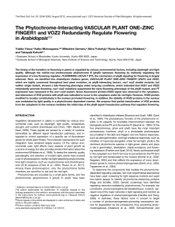 The Phytochrome-Interacting VASCULAR PLANT ONE