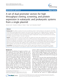 A set of dual promoter vectors for high throughput cloning, screening