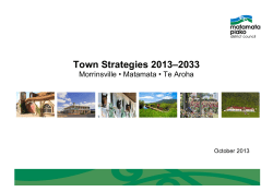 Matamata-Piako District Council Town Strategies 2013-33