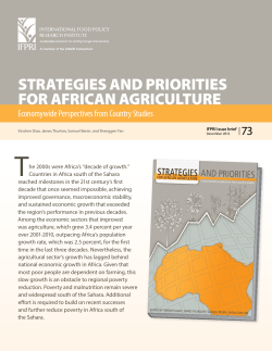 Strategies and Priorities for African Agriculture