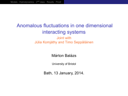 Anomalous fluctuations in one dimensional interacting systems