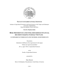 risk preferences and intra-household financial decision