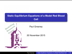 Static Equilibrium Equations of a Model Red Blood Cell