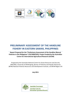 preliminary assessment of the handline fishery in eastern