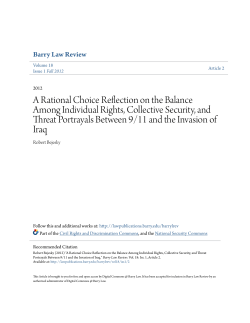 A Rational Choice Reflection on the Balance Among Individual