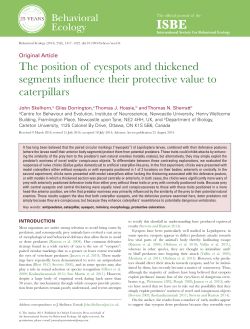 The position of eyespots and thickened segments
