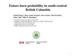 Future burn probability in south