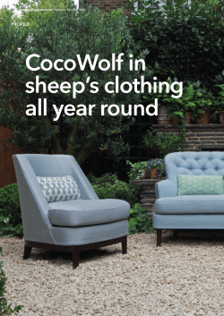 CocoWolf in sheep`s clothing all year round