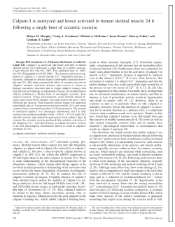 Calpain-3 is autolyzed and hence activated in human skeletal