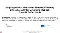 Single Agent Oral Selinexor in Relapsed/Refractory Diffuse Large B