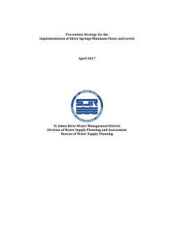 Silver Springs Prevention Strategy