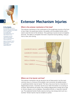 Extensor Mechanism Injuries