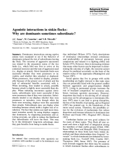Agonistic interactions in siskin flocks: Why are dominants sometimes