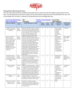Risk Assessment Form