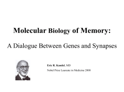 Molecular Biology of Memory