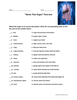 “Name That Organ” Post-test – Answer Key