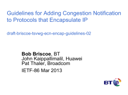 ppt - Bob Briscoe