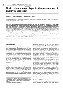Nitric oxide: a new player in the modulation of energy