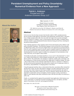 Persistent Unemployment and Policy Uncertainty