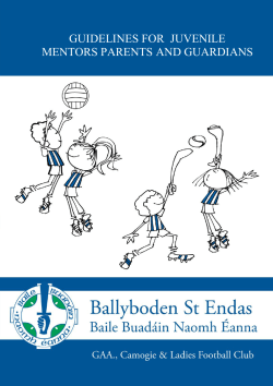 guidelines for juvenile mentors parents and guardians