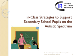 In-Class Strategies to Support Secondary School Pupils on the