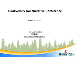 2014 Forest Strategy