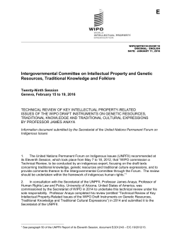 Technical Review of Key Intellectual Property-Related Issues