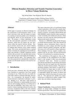 Efficient Boundary Detection and Transfer Function