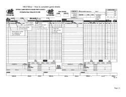 HEO Minor – How to complete game sheets