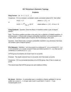 2017 Workshop Problems - 2017 Workshop in Geometric