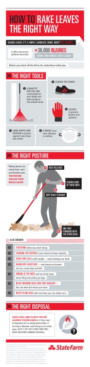 State Farm&trade; - Simple Insights&trade;