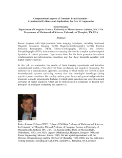 Computational Aspects of Transient Brain Dynamics
