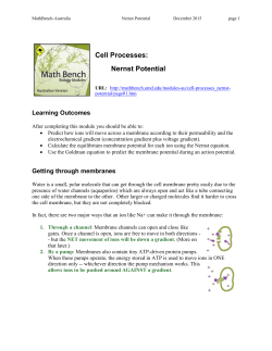 Action Potential and the Nernst Equation